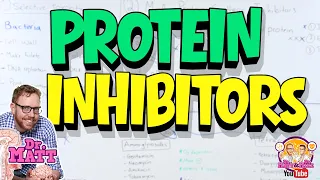 Antibiotics | Protein Synthesis Inhibitors