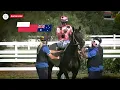 Black Caviar's 2013 Lightning In Numbers! The Champion Australian Sprinter's Best Performance Of All