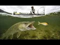 3 Days Fishing Canadas Untouched River