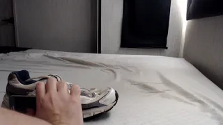              دندنها