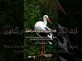 Download Lagu Surah Baqarah Ayat 2 with Translation|Quran Recitation🕌#trending #shorts #shortsfeed #islamicshorts
