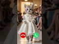 Lagu Nova is calling.. #cat #ringtone #fashion #ai #billi