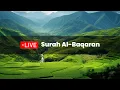 Download Lagu Al-Baqarah Full-Muhammad Hisyam | Penenang Hati dan Pikiran