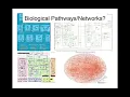 Network Visualization