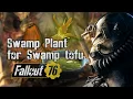Swamp Tofu Swamp Plant Strangler Bloom Fallout 76