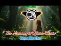 Lagu DMC Remix RADELIN \