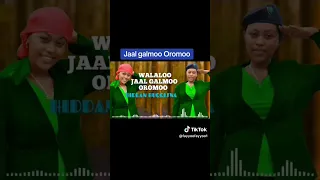 Walaloo Jaal Galmoo Dawwaadha Subscribe Osoo Hin Godhiin Hin Darbiin Please Oromokoo 2024 