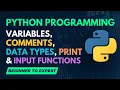Python Programming Variables Comments Data Types Print Input Functions In Hindi