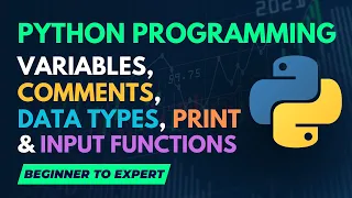 Python Programming Variables Comments Data Types Print Input Functions In Hindi