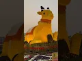 Download Lagu AHMEDABAD FLOWER SHOW🐼🌳SHIV LEHRI VLOG..!!