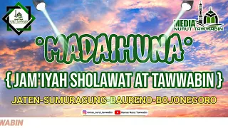 Download SULUK MERDU - MADAIHUNA | JAM'IYAH SHOLAWAT AT TAWWABIN MP3