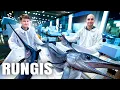 Download Lagu On visite le plus grand marché de poisson de France