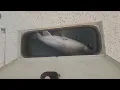 Roy Susie Lake Trout Double Pinecliff Lodge