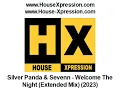 Silver Panda & Sevenn - Welcome The Night (Extended Mix) (2023)