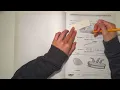 Eureka Math Grade 1 Module 3 Lesson 2 Homework