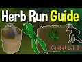 How to Complete Your First Herb Run From Scratch A Beginner Guide to a Basic Herb Run OSRS