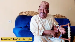 حبيبي عود مشاركة معاوية المقل رائعة صديق احمد اغاني الطمبور 2025 اكسبلور معاوية المقل 