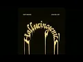 Matt Maeson, Lana Del Rey - Hallucinogenics (Clean)