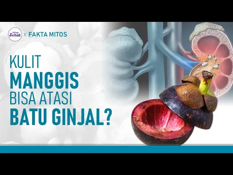 Mitos Fakta Khasiat Buah Manggis, Benarkah Bisa Atasi Batu Ginjal?