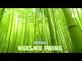 Lagu Rotra - Ngelmu Pring [Makna+Lirik+Terjemahan]