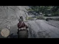 Chicks Treasure Map Location RDR2
