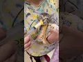 How to bottle feed and potty kittens