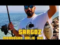 Download Lagu İZMİR-KARABURUN-MORDOĞAN BALIK AVI - AYIBALIĞI KOYU -MERKEZ MORDOĞAN 2 KASIM 2024