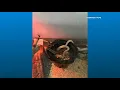 2 men charged after more than 60 reptiles stolen from pet stores