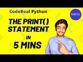 002 The print Function in Python Explained UNDER 5 Minutes 5 Minute Coding