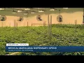 How you can now legally buy medical marijuana in Richmond