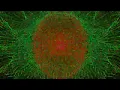 Synaesthesia (Fly Away) - Music by The Thrillseekers w Sheryl Deane, Visuals by Chaotic
