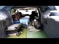 Chevy Avalanche Truck Tent Camping Cedar Hill Park
