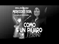 PARA CANTAR HE NACIDO  -  Mercedes Sosa