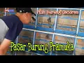Lagu PASAR BURUNG PRAMUKA HARI INI || TUKAR TAMBAH BURUNG MURAI