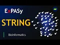 STRING Database ExPASy Protein-Protein Interactions Bioinformatics Basic Science Series