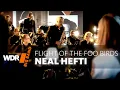 Download Lagu Neal Hefti - Flight Of The Foo Birds | WDR BIG BAND