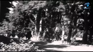  ليلى مراد   اغنية اتمختري واتميلي ياخيل   دندنها