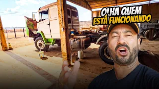 VOU LEVAR OS DOIS CAVALOS, MAS QUERO VOLTAR SEM NENHUM!