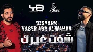 ياسر عبد الوهاب   شفت غيرك   ريمكس ديجي سبارك          دندنها