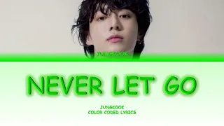 JUNGKOOK NEVER LET GO COLOR CODED LYRICS ENG  JUNGKOOK NEVER LET GO COLOR CODED LYRICS ENG