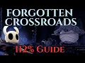 Forgotten Crossroads - Hollow Knight 112 Guide Full Walkthrough