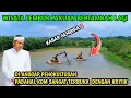 Download Lagu WOW‼️KABAR GEMBIRA SELAIN PUNYA SAWAH TAMAN KANG DEDI MULYADI KEBUT WISATA SITU CIKADONGDONG