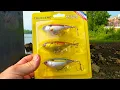 Do AMAZON WHOPPER PLOPPERS Catch Fish Madison Wisconsin