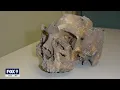DNA puts police closer to cracking mystery of the Spring Grove skull FOX 9 KMSP