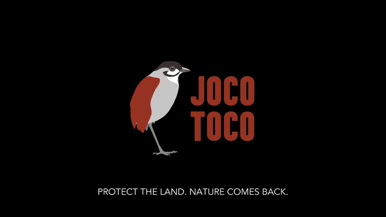 Jocotoco