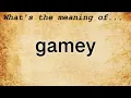 Gamey Meaning Definition of Gamey