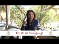 COLIGNY PLAZA HILTON HEAD ISLAND - DINING