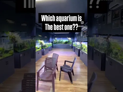 BEST AQUARIUM?? #aquarium #fishkeepinghobby #fishtank