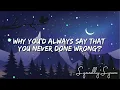 Dennis Lloyd - Never Go Back (Robin Schulz Remix) [Lyrics]