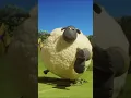Download Lagu How far can a sheep throw a welly? 🤔👢Championsheeps #shorts #shaunthesheep #sports